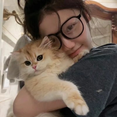撒哈拉狮王救援